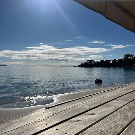 Magnifique Vue Et Accès Sanguinaires Appartamento *